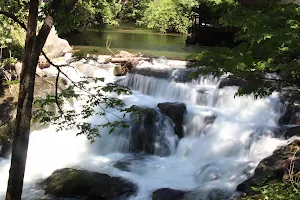 Whatcom Creek Fish Ladder image