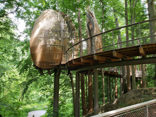 Natural History Museum «Fernbank Museum of Natural History», reviews and photos, 767 Clifton Rd, Atlanta, GA 30307, USA