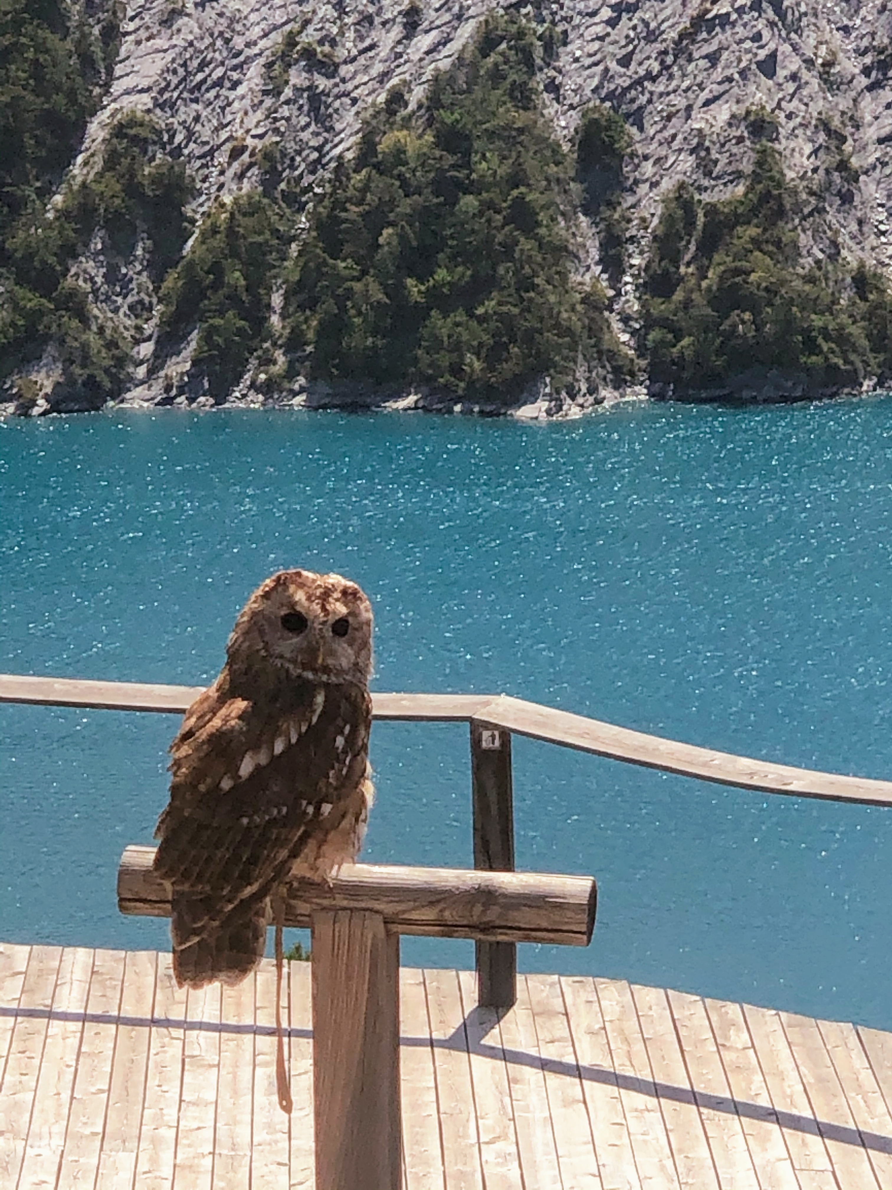 Photo n° 2 de l'avis de Jérémie.r fait le 28/08/2020 à 17:19