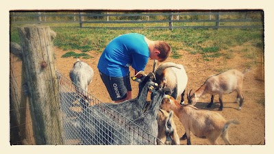 Photos of Zoopark