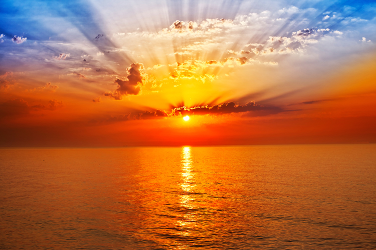 Horizon Therapy Center Inc. 34667