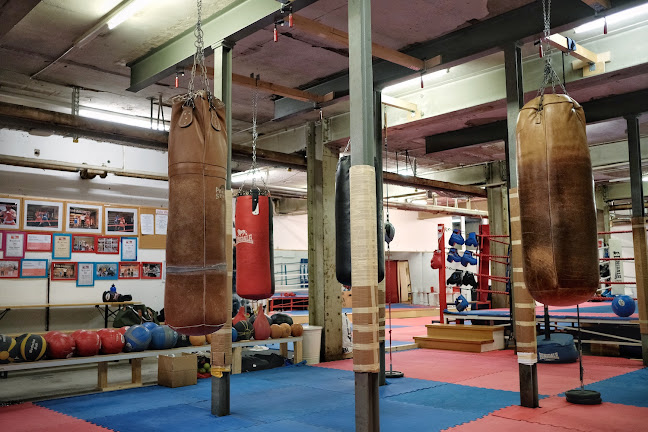 Rezensionen über Boxclub Sportring Zürich in Zürich - Fitnessstudio