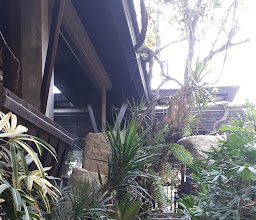 Fang Coffee กาแฟฝางสาขาบาลโคนี่ photo