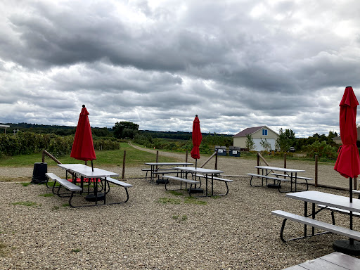 Winery «Arundel Cellars & Brewing Co», reviews and photos, 11727 E Main St, North East, PA 16428, USA