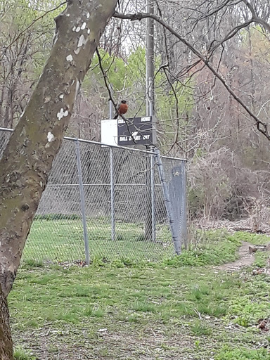 Park «Hoffman Park», reviews and photos, 228 Scottdale Rd, Lansdowne, PA 19050, USA