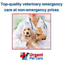 Urgent Pet Care - Photo 9 - Car repair in Fort Lauderdale, FL, Hollywood