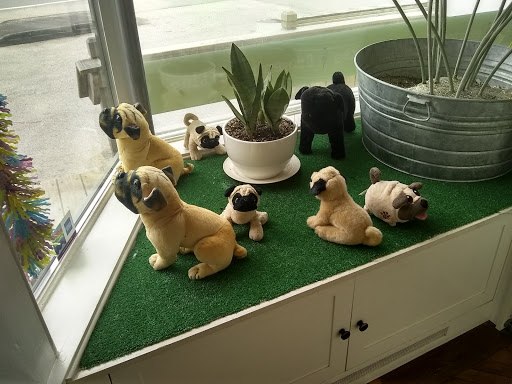 Pugnuts Ice Cream Shop