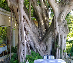White Washed Café photo