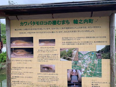 ++ 50 ++ 木 へん ト 157694-木へんに 戸