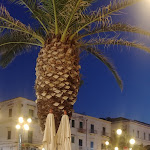 Photo n°7 de l'avis de Edoardo. fait le 15/07/2019 à 21:17 sur le  Il Pizzicotto dal 1984 à Vieste