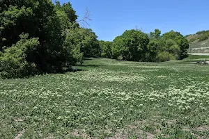 Rotary Glen Dog Park image