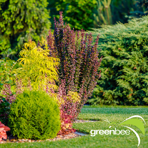 Greenbee Landscape, Inc. image