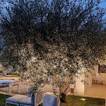 Photo n°5 de l'avis de Giuseppe.e fait le 08/08/2023 à 14:25 sur le  Villa Cenci à Cisternino