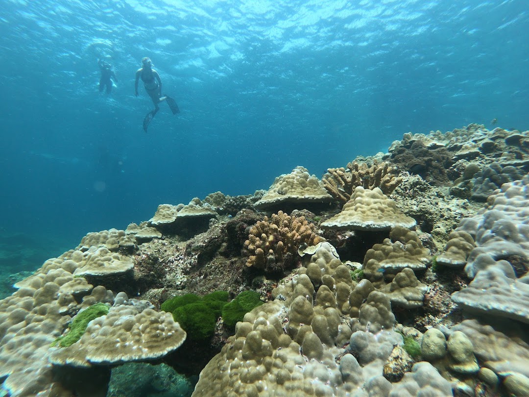 Monster-Phuket, PADI Instructor.