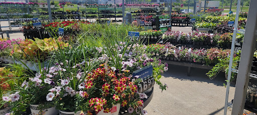 Department Store «Walmart Supercenter», reviews and photos, 150 Commerce Drive, Fairfield, IL 62837, USA