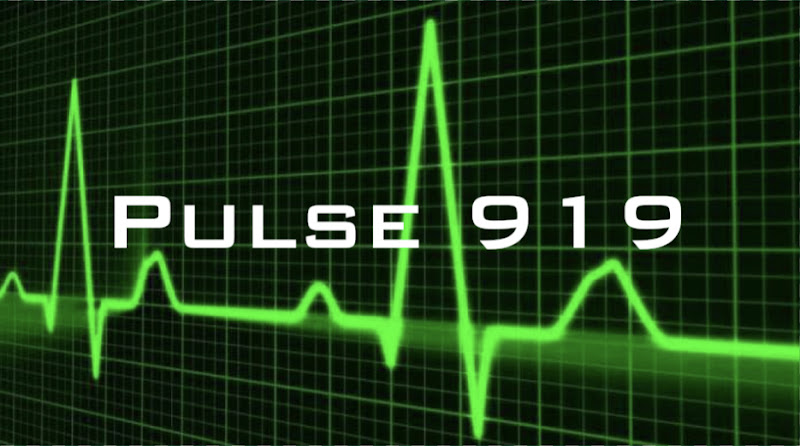 Pulse 919 Massage