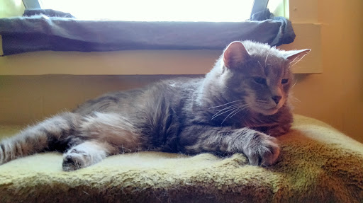 216 S Main St, Granville, OH 43023, USA