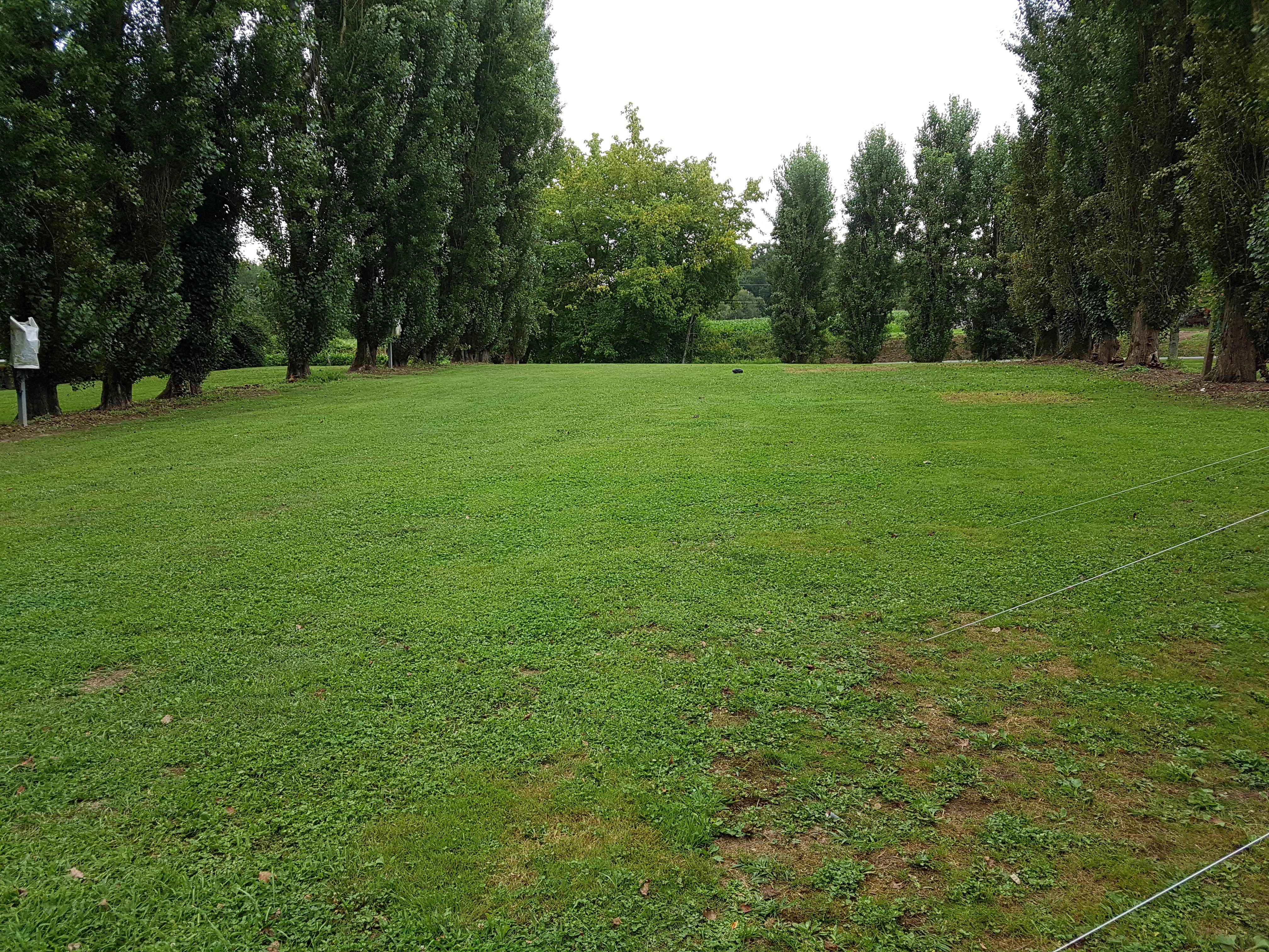 Photo n° 1 de l'avis de CHASSERY.o fait le 23/07/2017 à 08:49