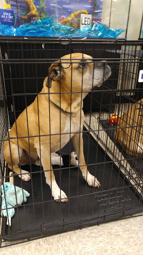 Pet Supply Store «PetSmart», reviews and photos, 144 Retail Commons Pkwy, Martinsburg, WV 25403, USA