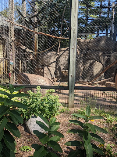 Zoo «NEW Zoo & Adventure Park», reviews and photos, 4378 Reforestation Rd, Green Bay, WI 54313, USA