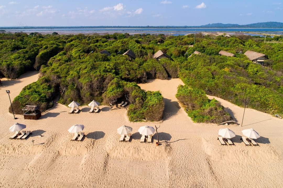 Uga Jungle Beach'in fotoğrafı çok temiz temizlik seviyesi ile