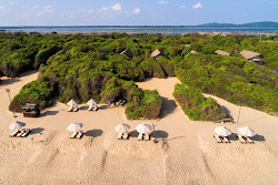 Uga Jungle Beach'in fotoğrafı çok temiz temizlik seviyesi ile