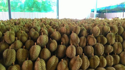 ร้าน My Durian