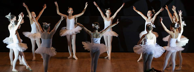 Avaliações doPetipas - Espaço Dança em Águeda - Escola de dança