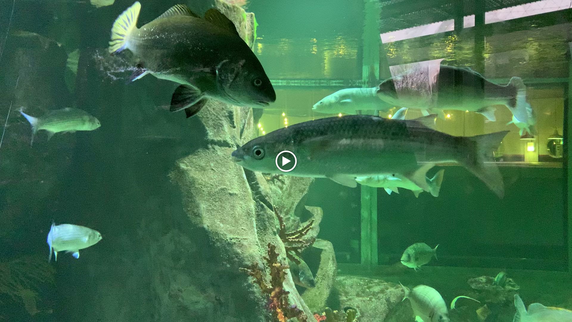 Photo n° 1 de l'avis de Emma.i fait le 15/03/2024 à 13:06