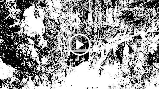 Golf Club «Hasentree Club», reviews and photos, 7213 Hasentree Way, Wake Forest, NC 27587, USA