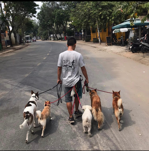 Dog Walkers ThaoDien