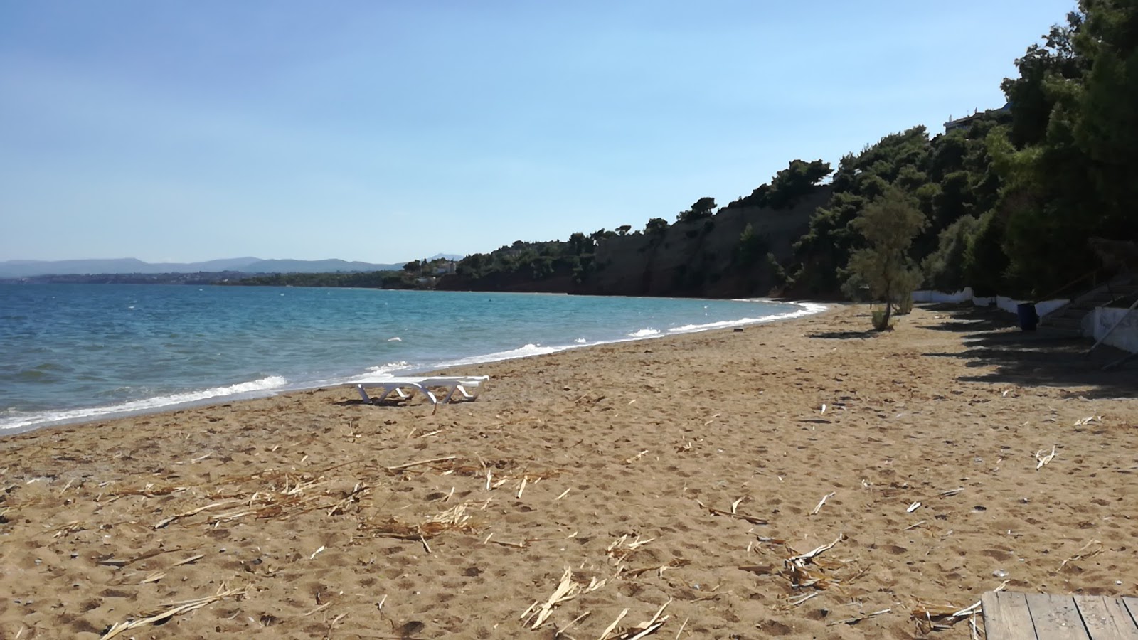 Foto de Avlidas beach con agua azul-verde superficie