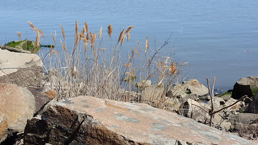 State Park «Hook Mountain State Park», reviews and photos, N Rte 9W, Nyack, NY 10960, USA