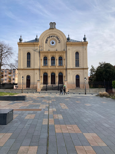Zsinagóga Pécs