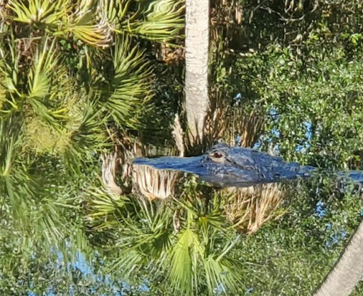 Zoo «Brevard Zoo», reviews and photos, 8225 N Wickham Rd, Melbourne, FL 32940, USA