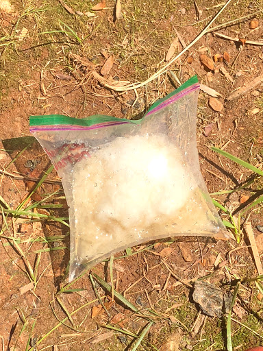 Child Care Agency «Morrow Early Learning Center», reviews and photos, 5881 Phillips Dr #2, Forest Park, GA 30297, USA