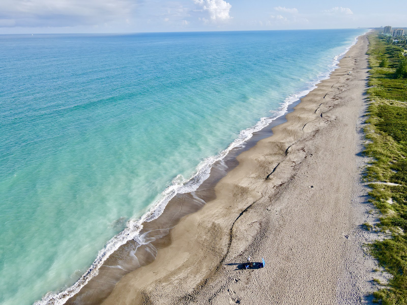 Foto de Porpoise beach área de servicios