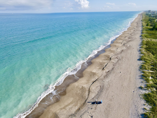 Porpoise beach