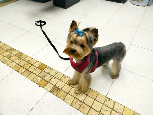 Clínica Veterinaria Troncoso en Pontedeume