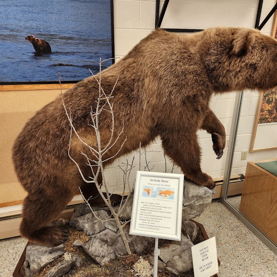 Werner Wildlife Museum at Casper College