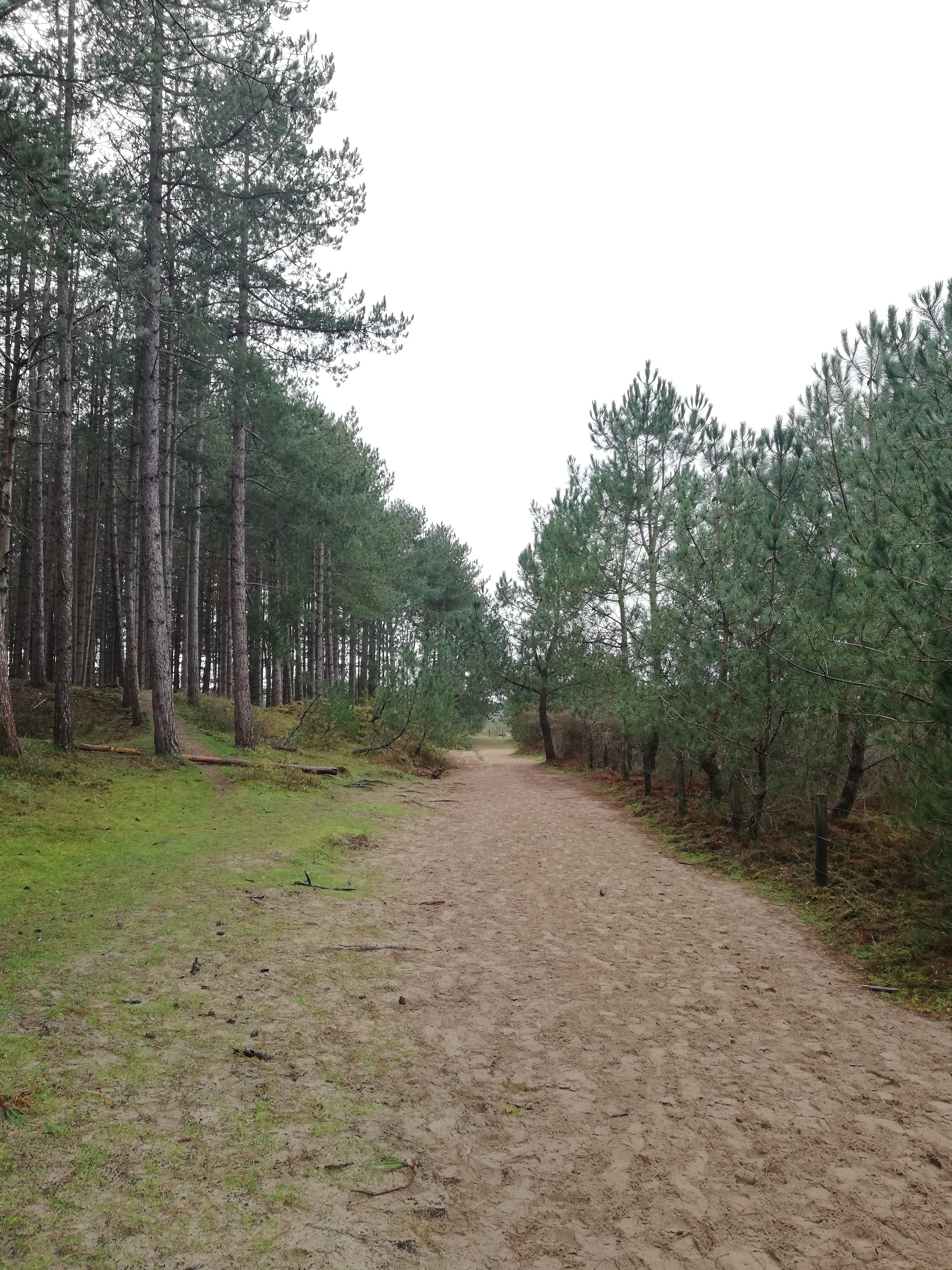 Photo n° 7 de l'avis de Vince.e fait le 12/01/2021 à 11:33