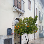 Photo n°3 de l'avis de Florentina. fait le 10/02/2024 à 17:55 sur le  Trattoria Zamboni à Lapio