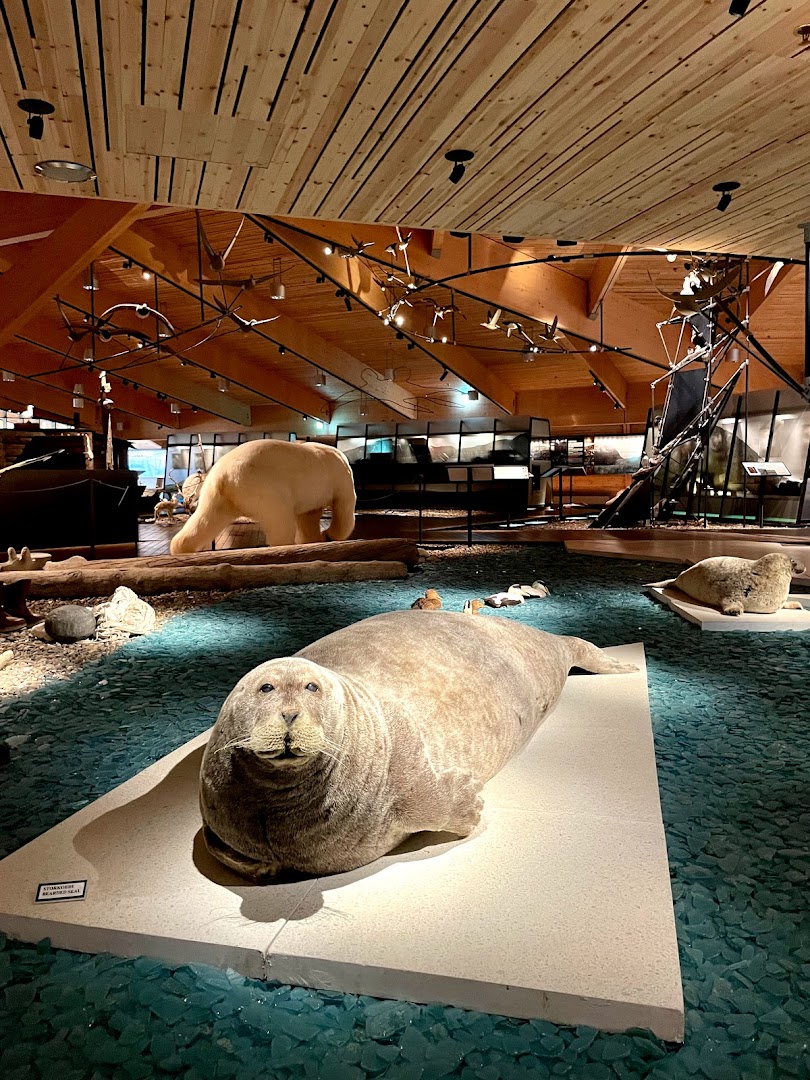 Longyearbyen, Svalbard ve Jan Mayen