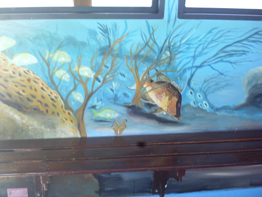 Fishing Charter «Flamingo Deep Sea Fishing», reviews and photos, 801 Seabreeze Blvd, Fort Lauderdale, FL 33316, USA