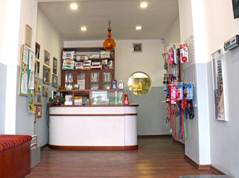טדי וטס נווה צדק | Teddy Vets Neve Tzedek