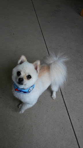 Used Car Dealer «Center Road Auto Sales», reviews and photos, 35999 Lorain Rd, North Ridgeville, OH 44039, USA