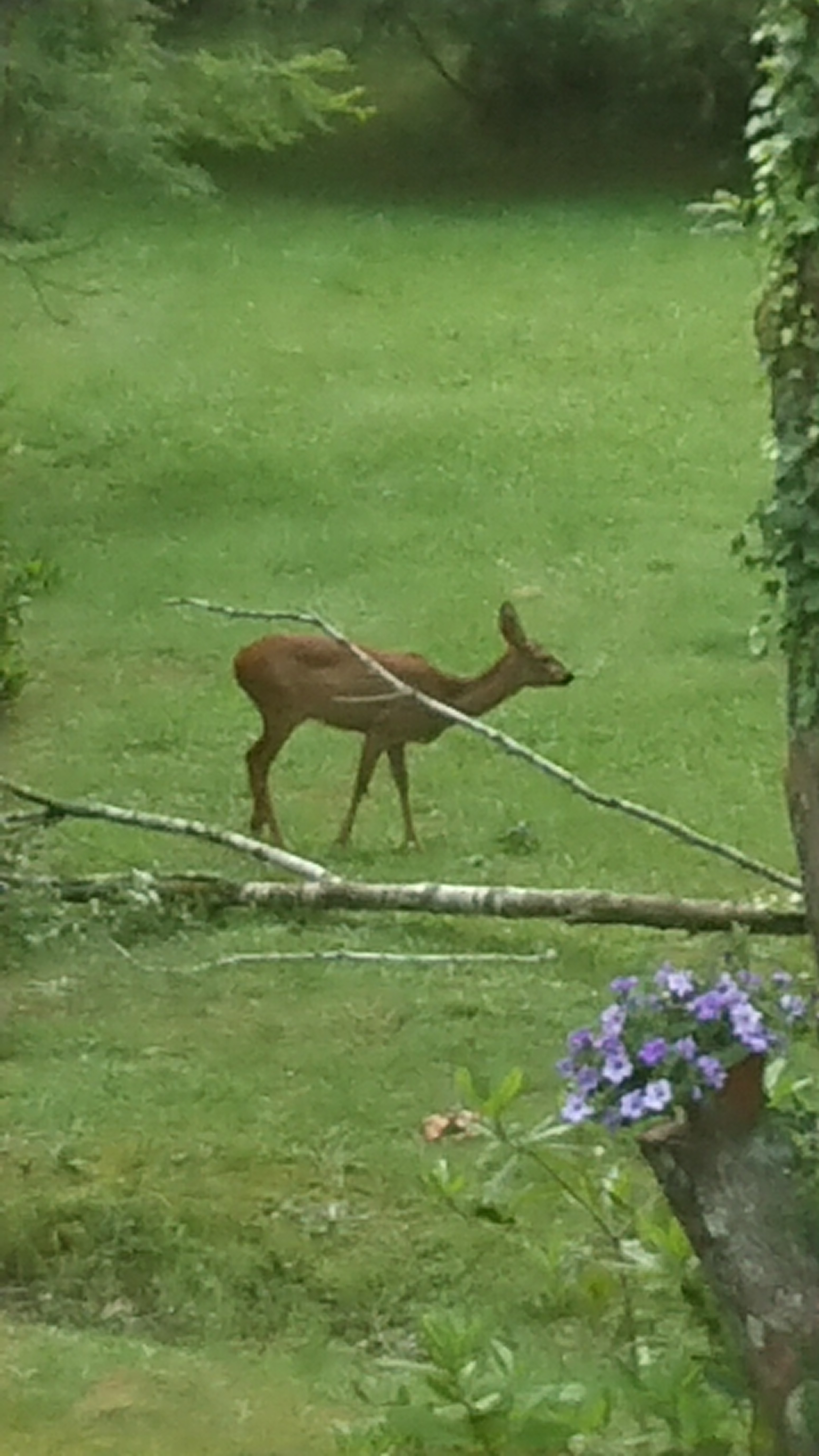 Photo n° 14 de l'avis de Will.a fait le 15/06/2019 à 16:24