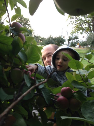 Produce Market «Brookwood Fruit Farm», reviews and photos, 7845 Bordman Rd, Almont, MI 48003, USA