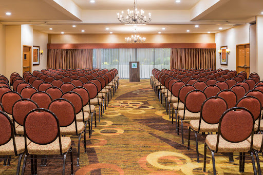 Holiday Inn Dublin-Pleasanton, an IHG Hotel image