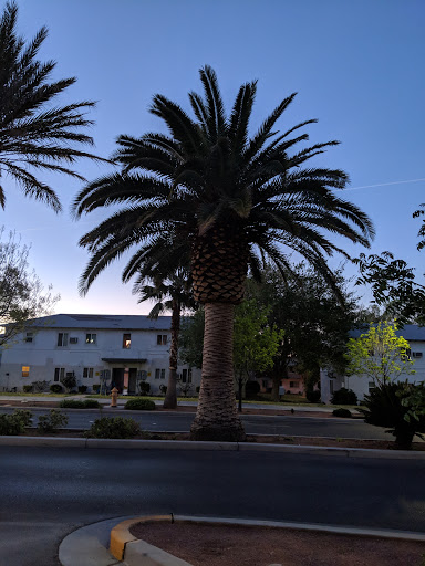 Hotel «Best Western Hoover Dam Hotel», reviews and photos